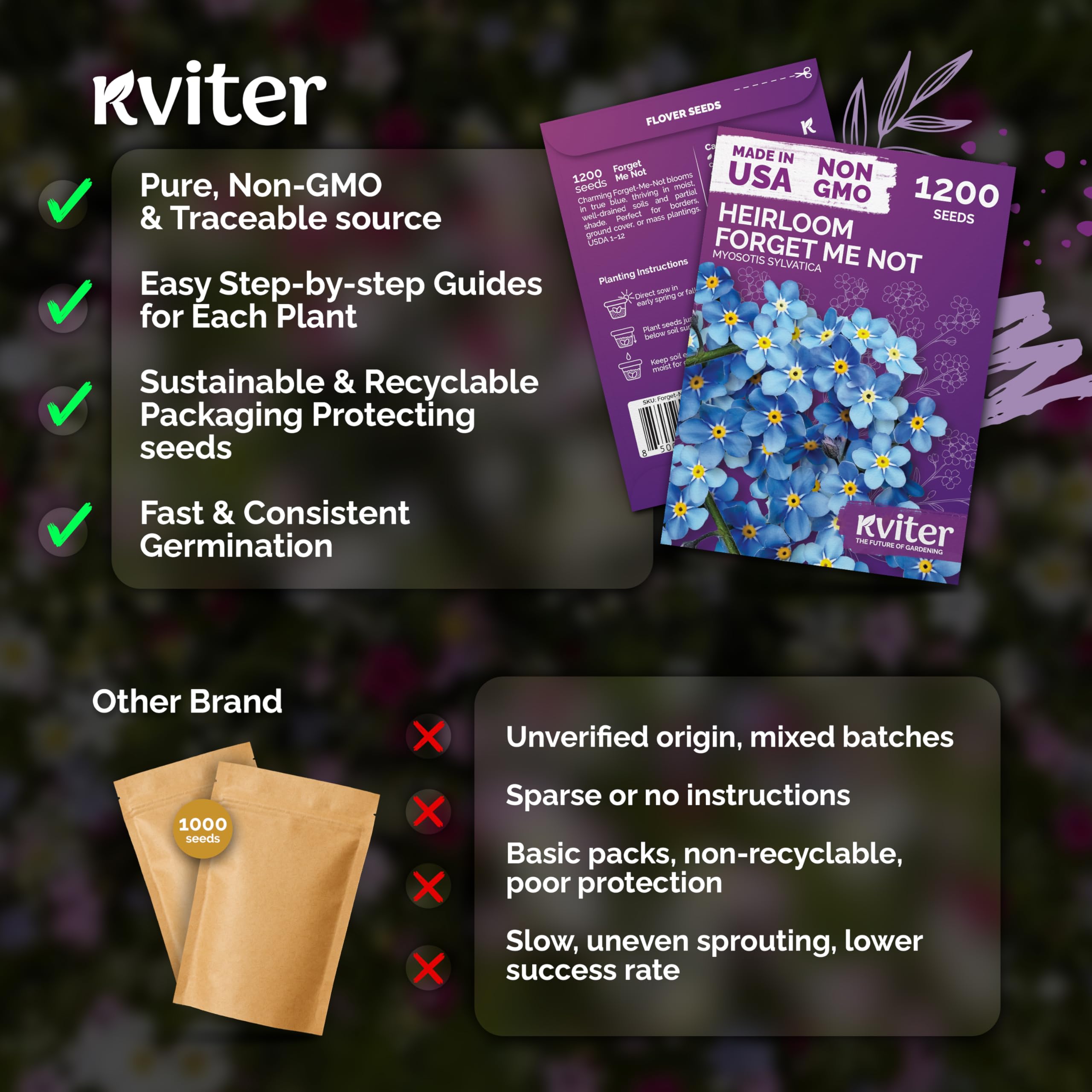 KVITER Forget Me Not flowers in full bloom in garden