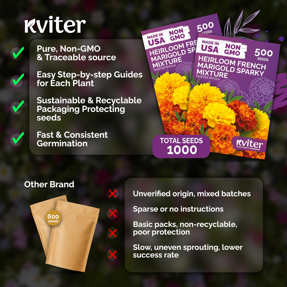 KVITER French Marigold seeds packaging detail
