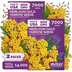 KVITER Gold Yarrow Heirloom Flower Seeds package front view
