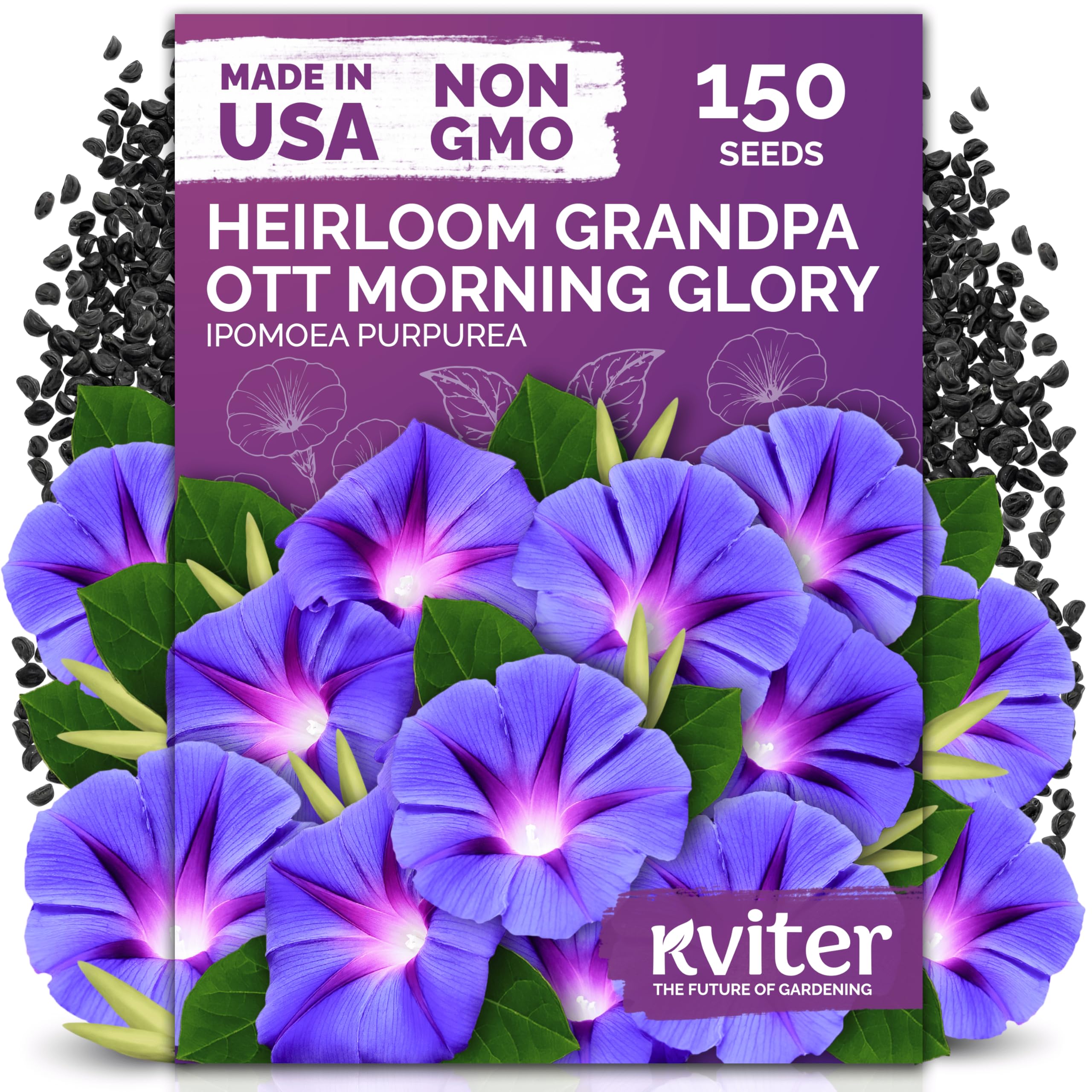 KVITER Grandpa OTT Morning Glory flower seeds packet front view