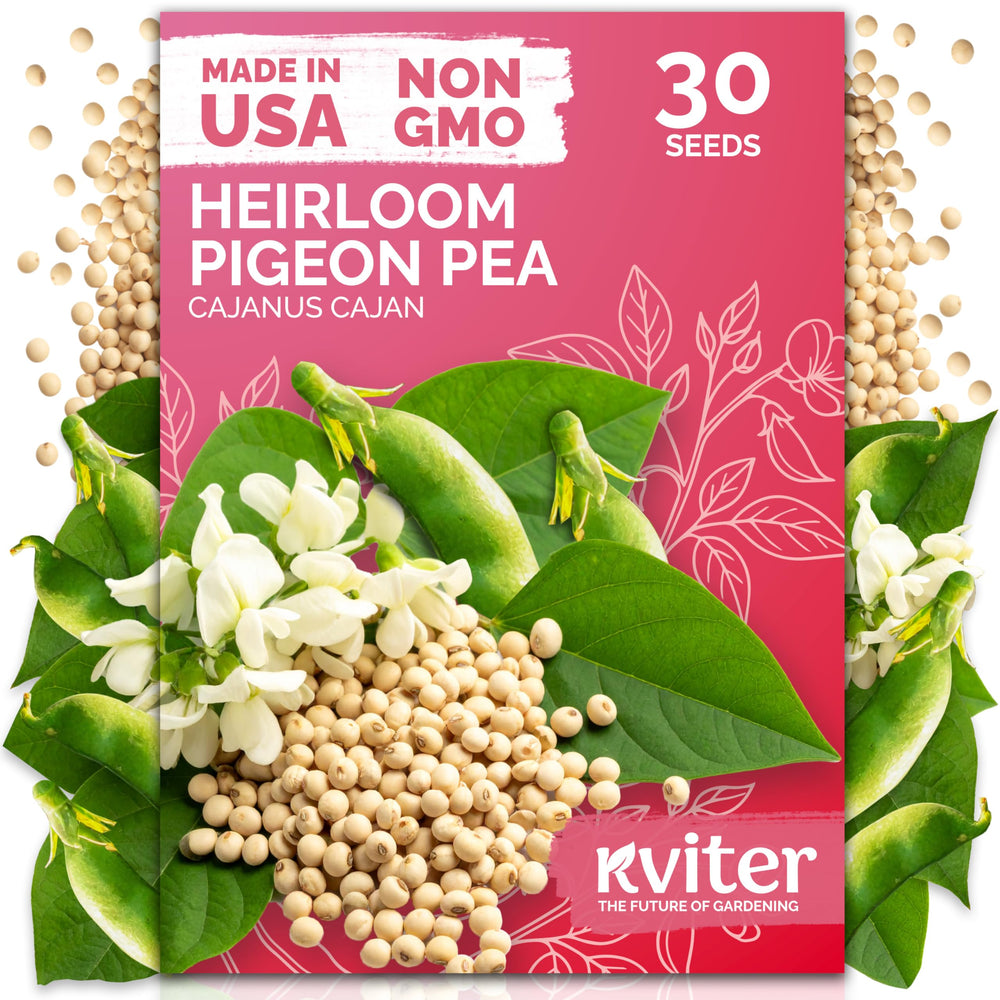 KVITER Guandules Pigeon Pea Heirloom Seeds package front view