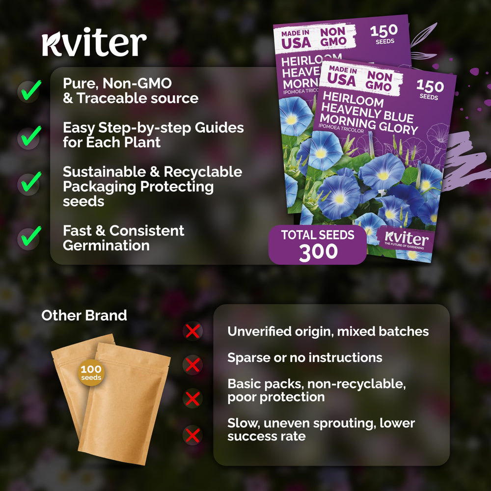 KVITER Heavenly Blue Morning Glory Seeds back view with instructions