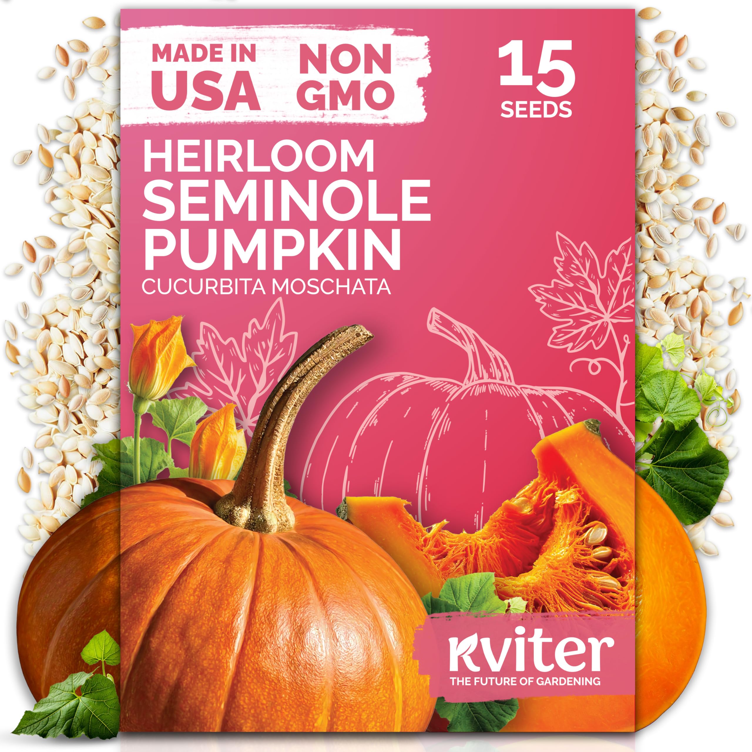 KVITER Heirloom Pumpkin Seeds Pack, front view