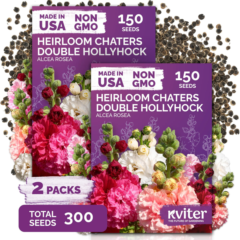 KVITER Hollyhock heirloom flower seeds packaging front view