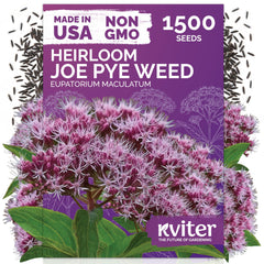 KVITER Joe Pye Weed heirloom flower seeds package front view