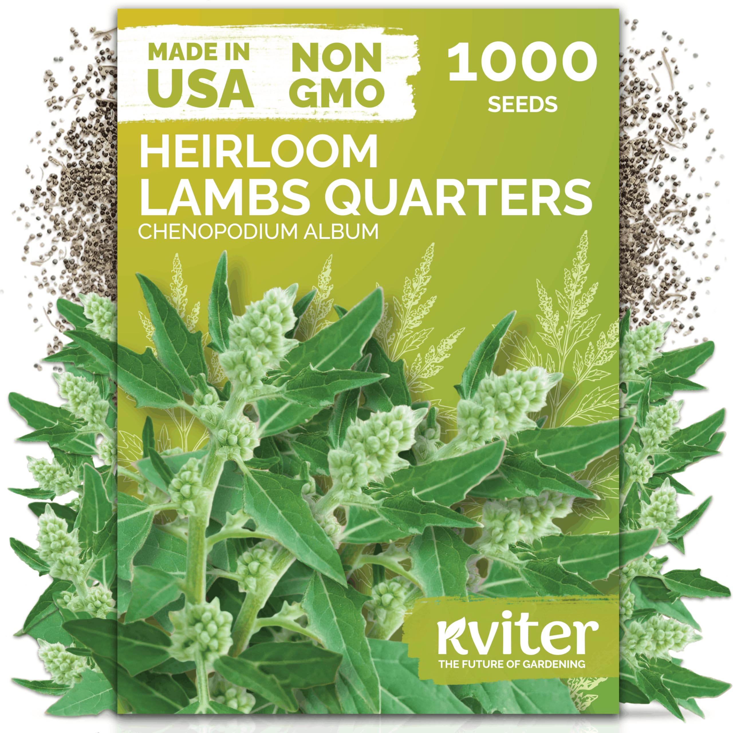 KVITER Lambs Quarters Seeds packet front view
