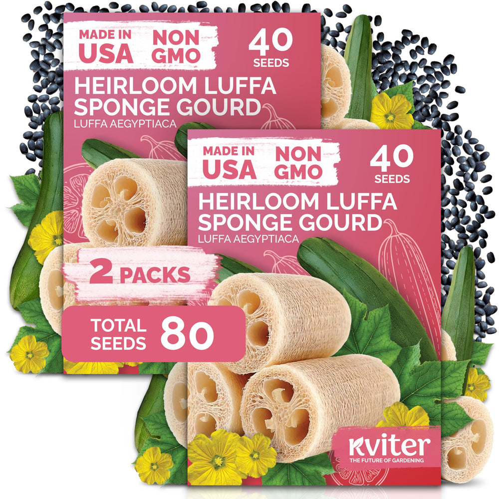 KVITER Luffa Heirloom Vegetable Seeds 80 pack front view