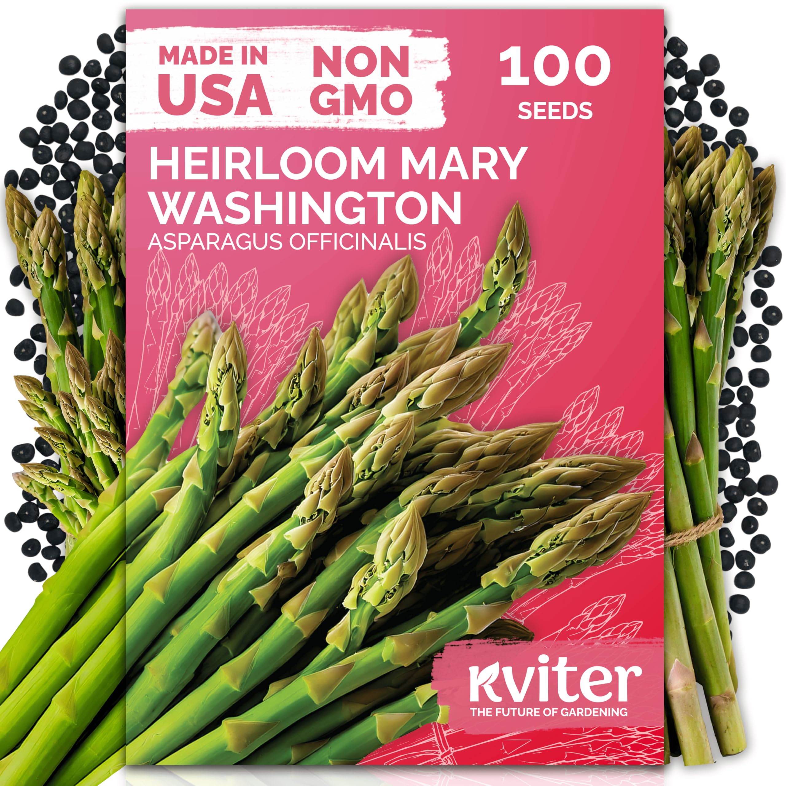 KVITER Mary Washington Asparagus Seeds front view