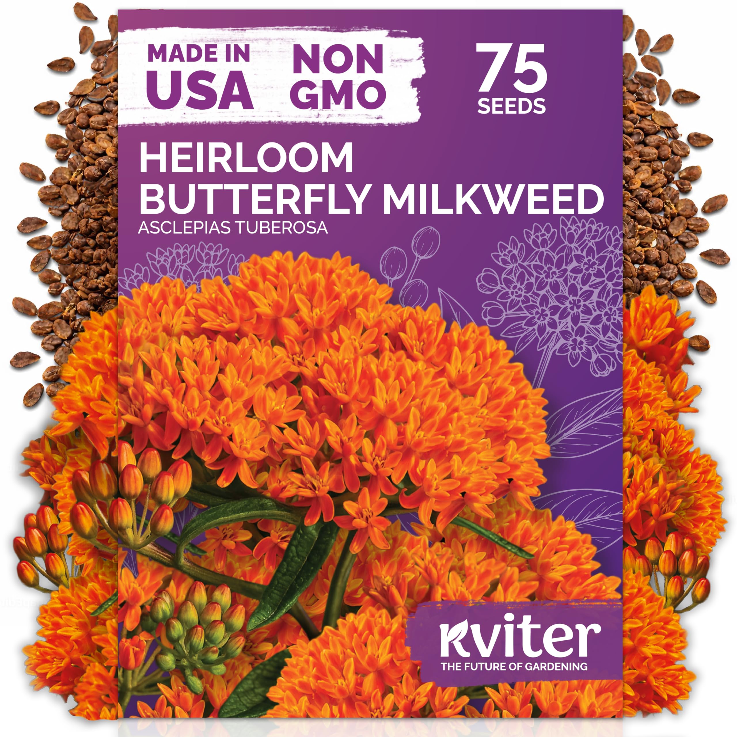 KVITER Orange Butterfly Milkweed Seeds package front view