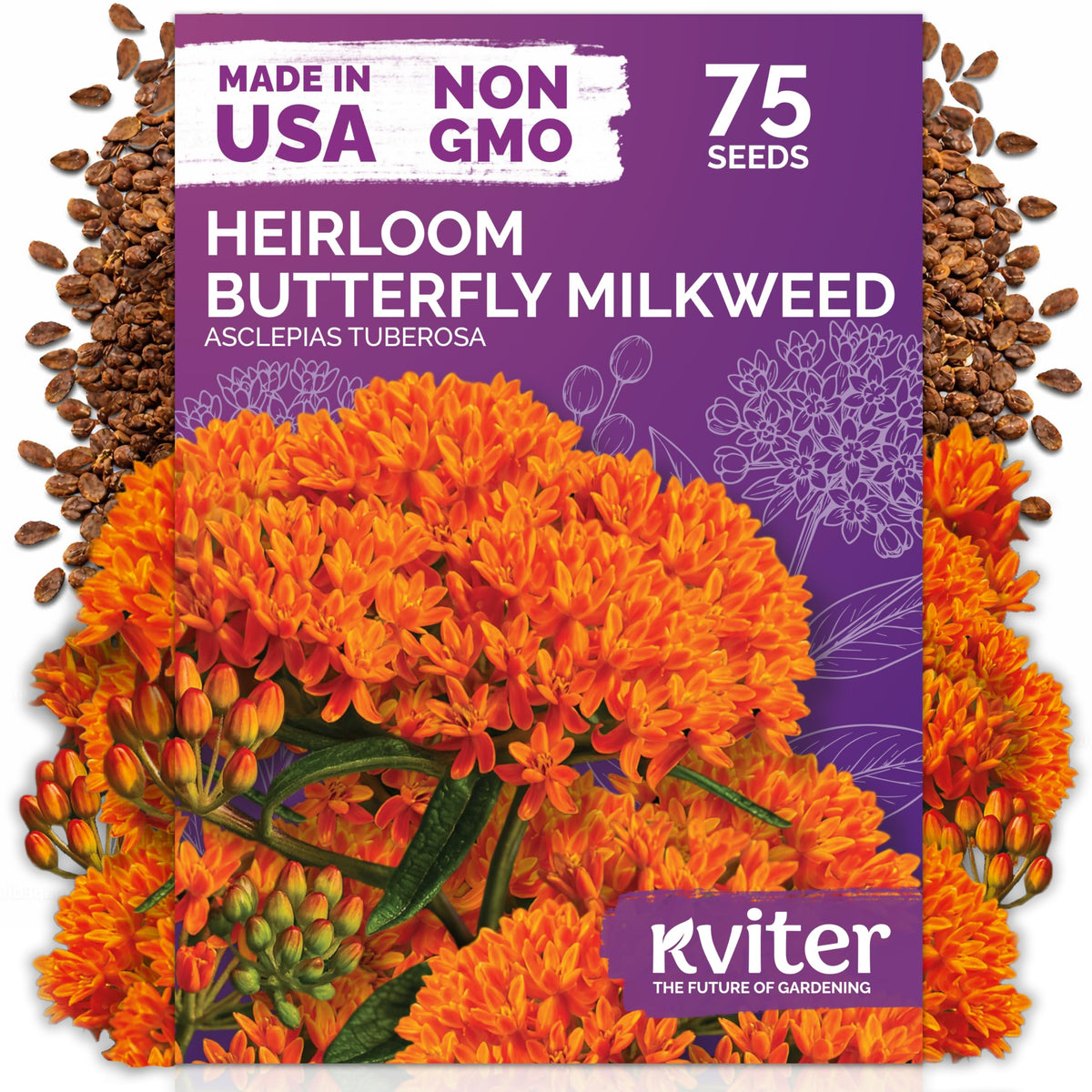 KVITER Orange Butterfly Milkweed Seeds package front view