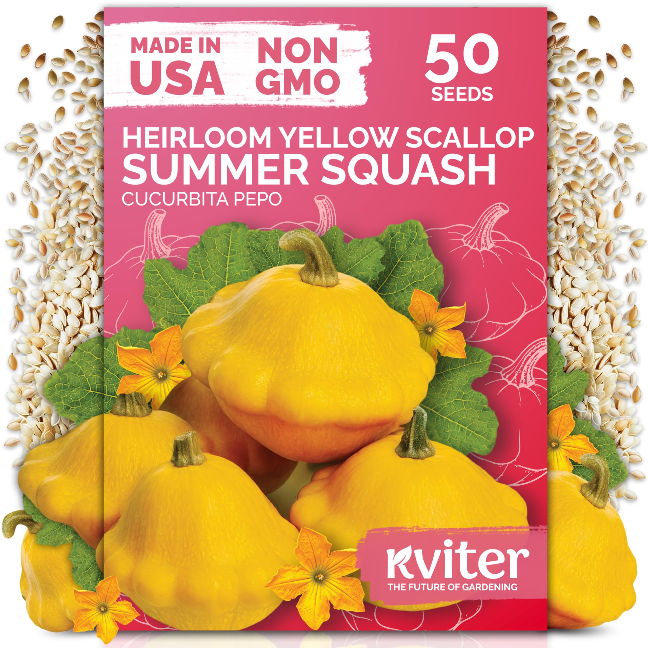 KVITER Patty Pan Yellow Squash Seeds packet front view.