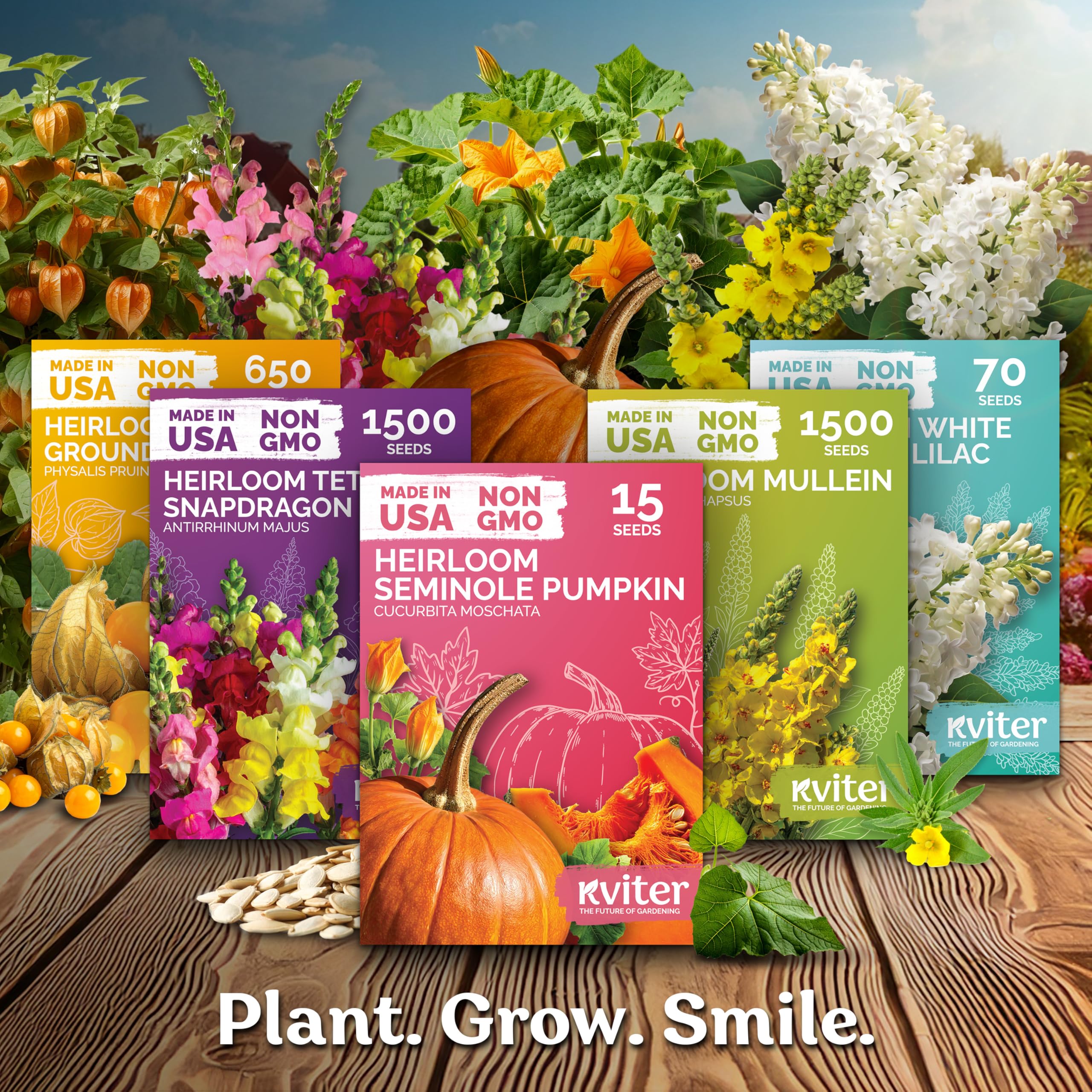 KVITER pumpkin seed packet with dimensions