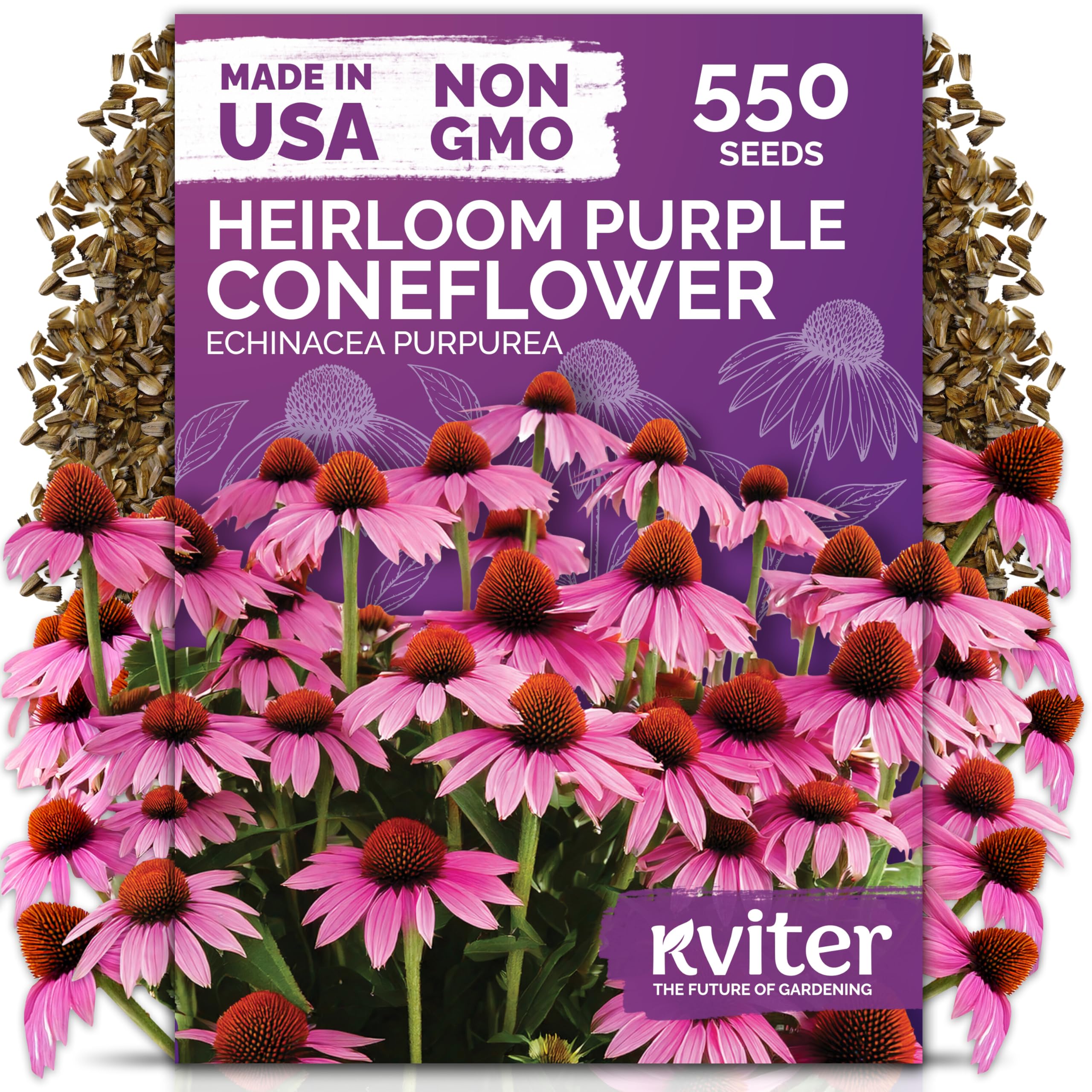 KVITER Purple Coneflower Seeds package front view