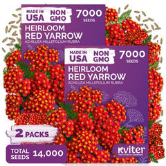 KVITER Red Yarrow Heirloom Flower Seeds package front view
