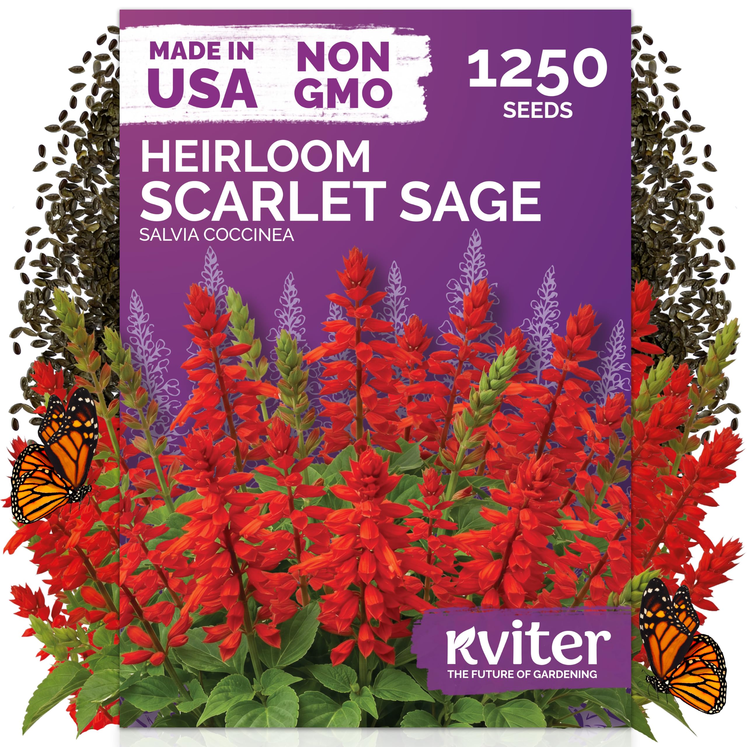 KVITER Scarlet Sage seeds packet front view with vibrant red flower images