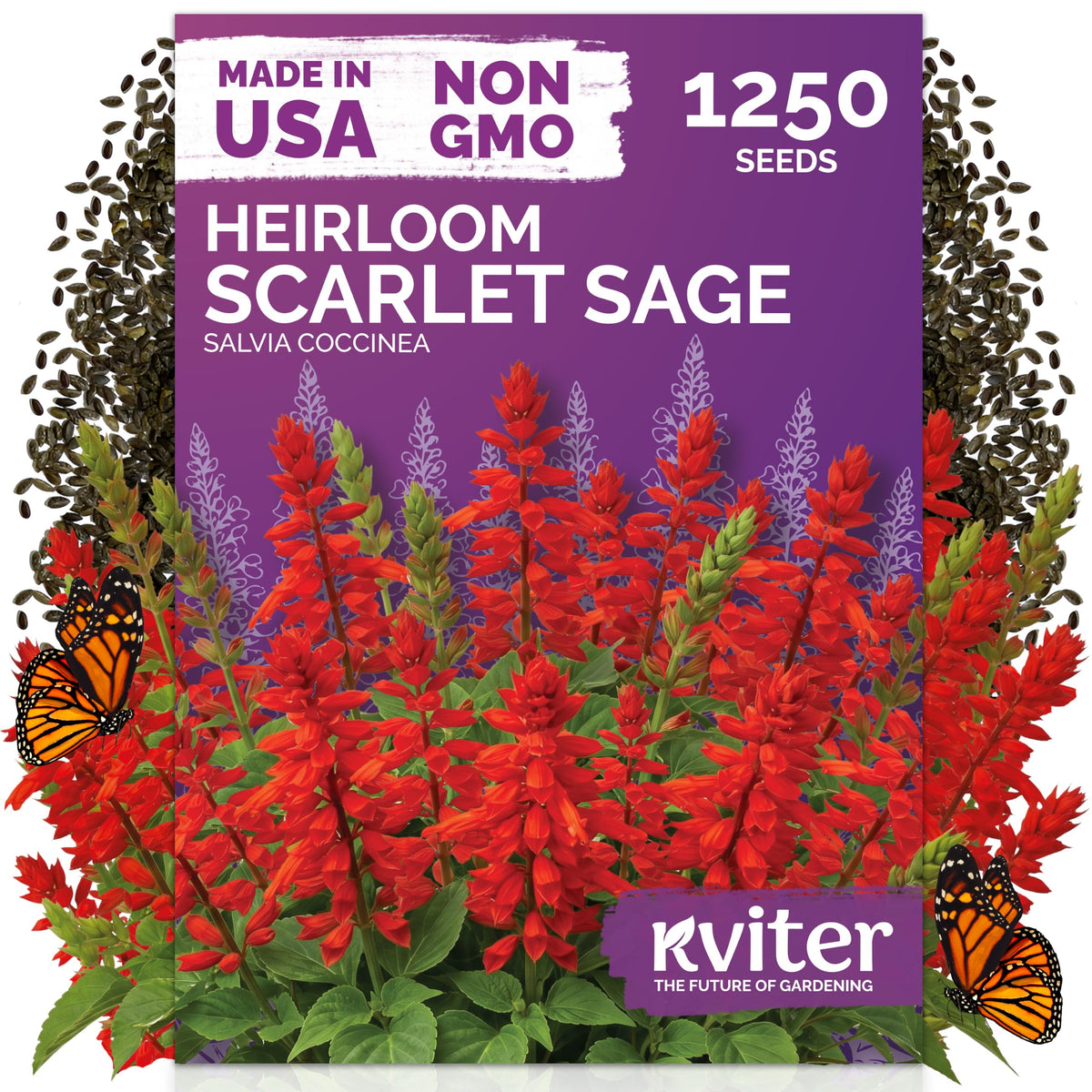 KVITER Scarlet Sage seeds packet front view with vibrant red flower images