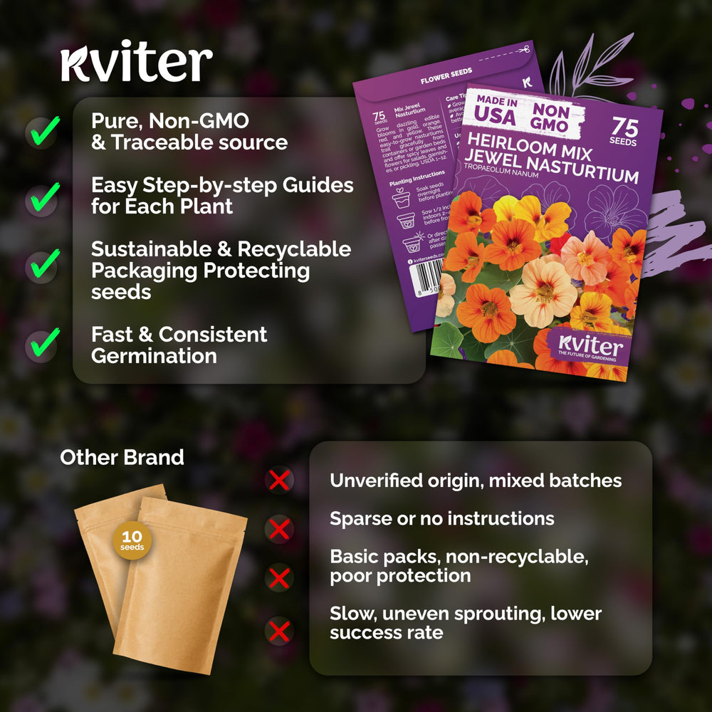 KVITER seeds in a flower bed