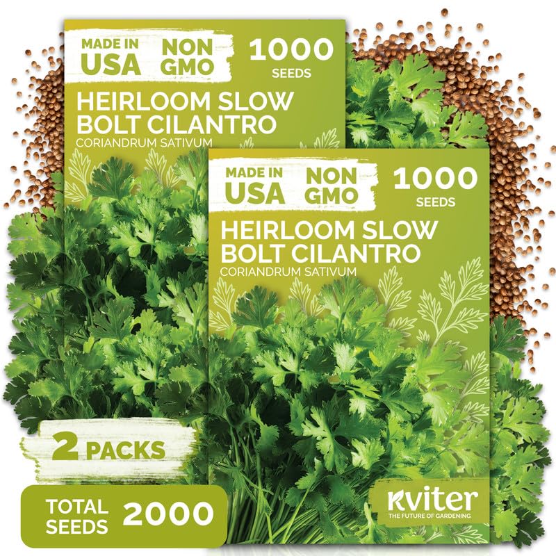 KVITER Slow Bolt Cilantro Herb Seeds packet front view