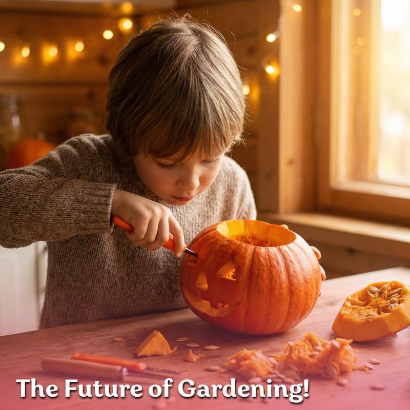 KVITER Sugar Pumpkin Seeds growing instructions guide