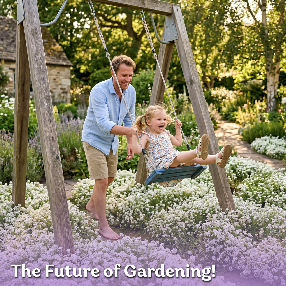 KVITER Sweet Alyssum flower clusters in bloom