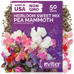 KVITER Sweet Pea Mammoth Mix Flower Seeds package front view