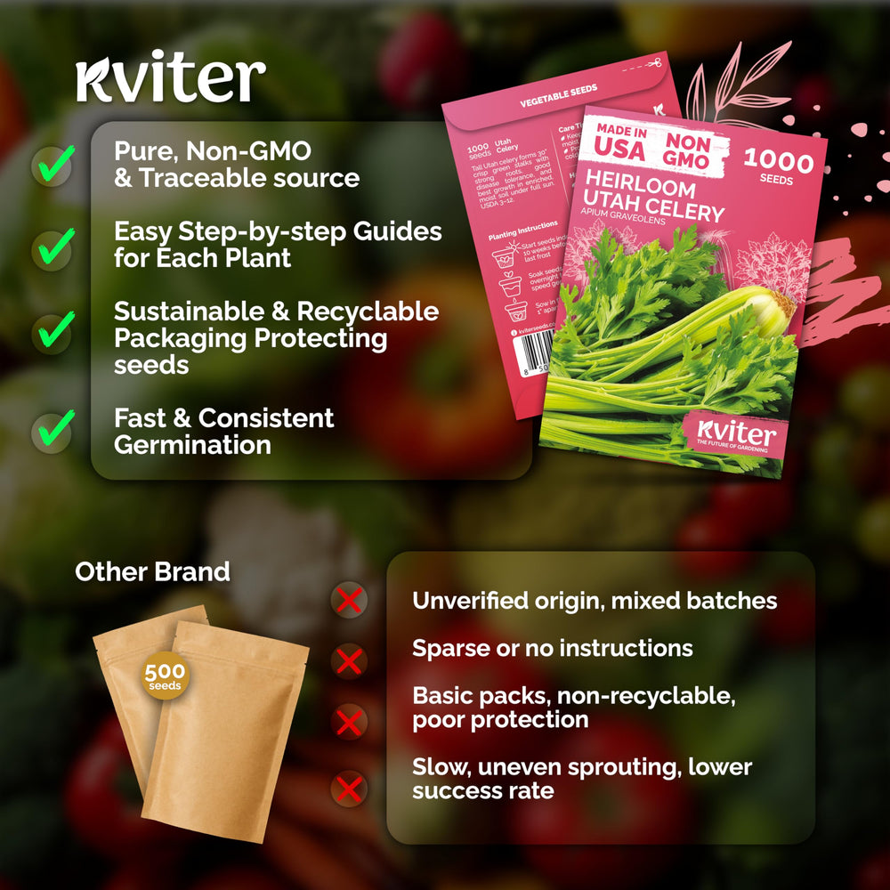 KVITER Tall Utah Celery seeds illustration with growth instructions