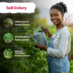 KVITER Tall Utah Celery seeds in a garden setting