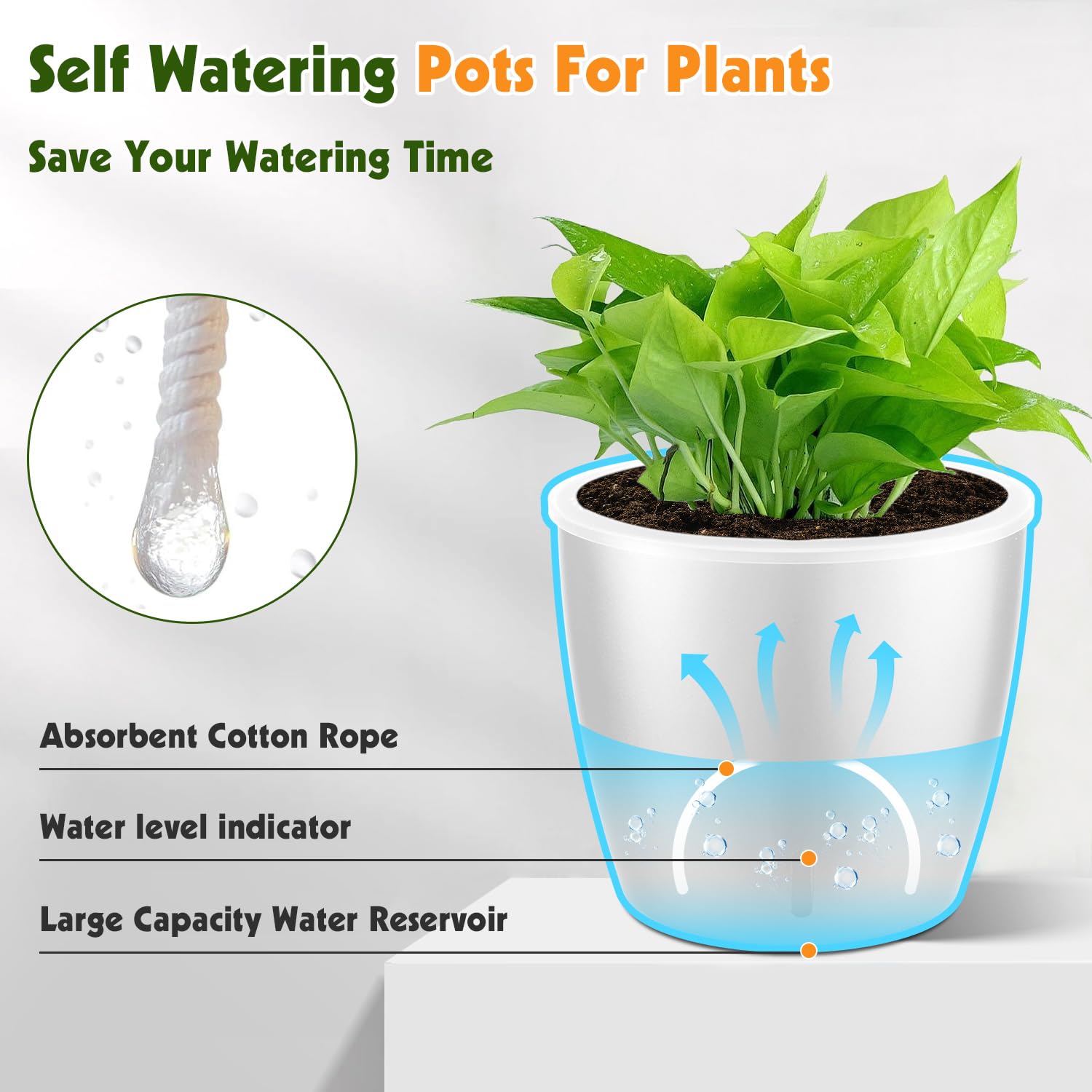 KvyusFlourish 8-pack of self-watering pots on a shelf