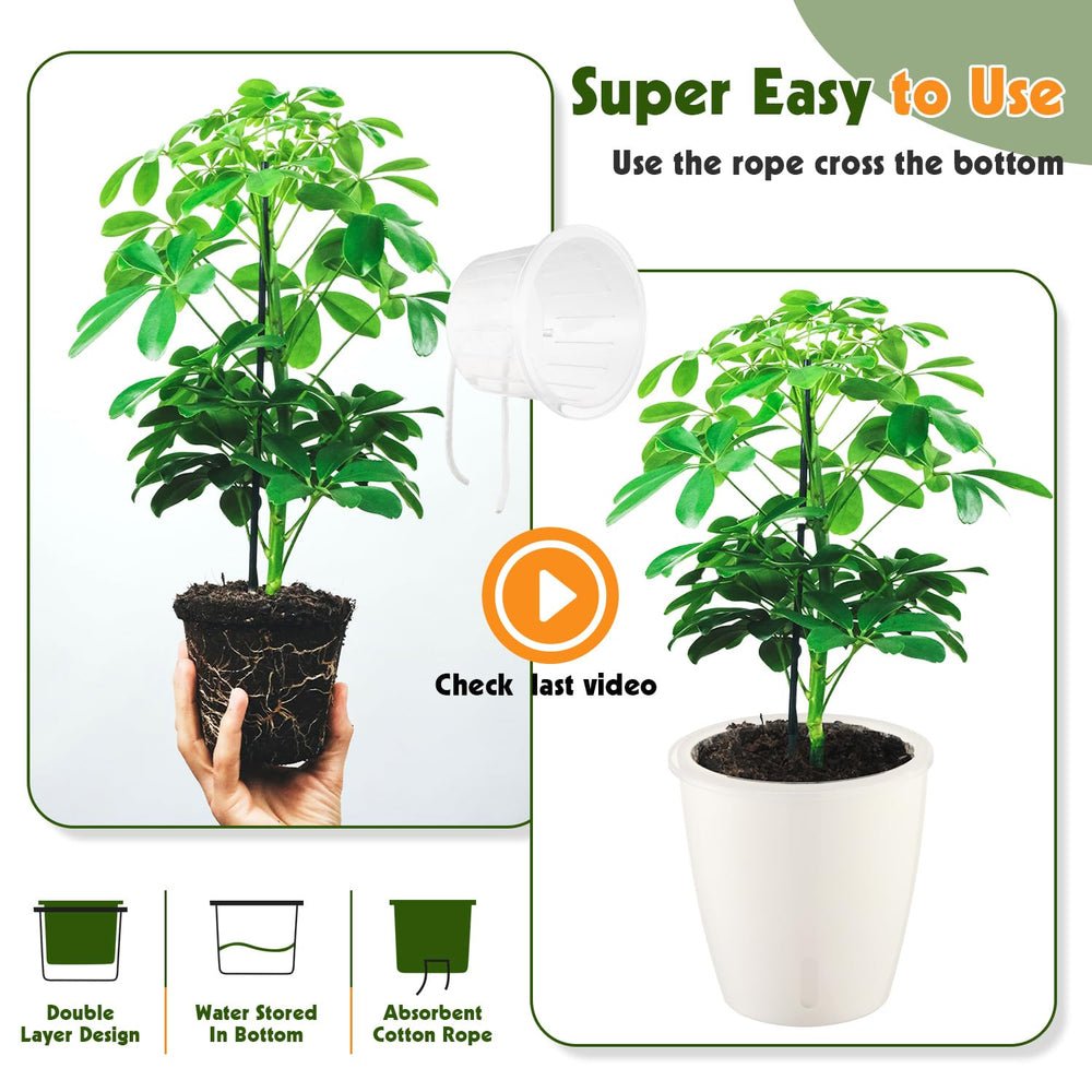 KvyusFlourish Self-Watering Pot collection on patio
