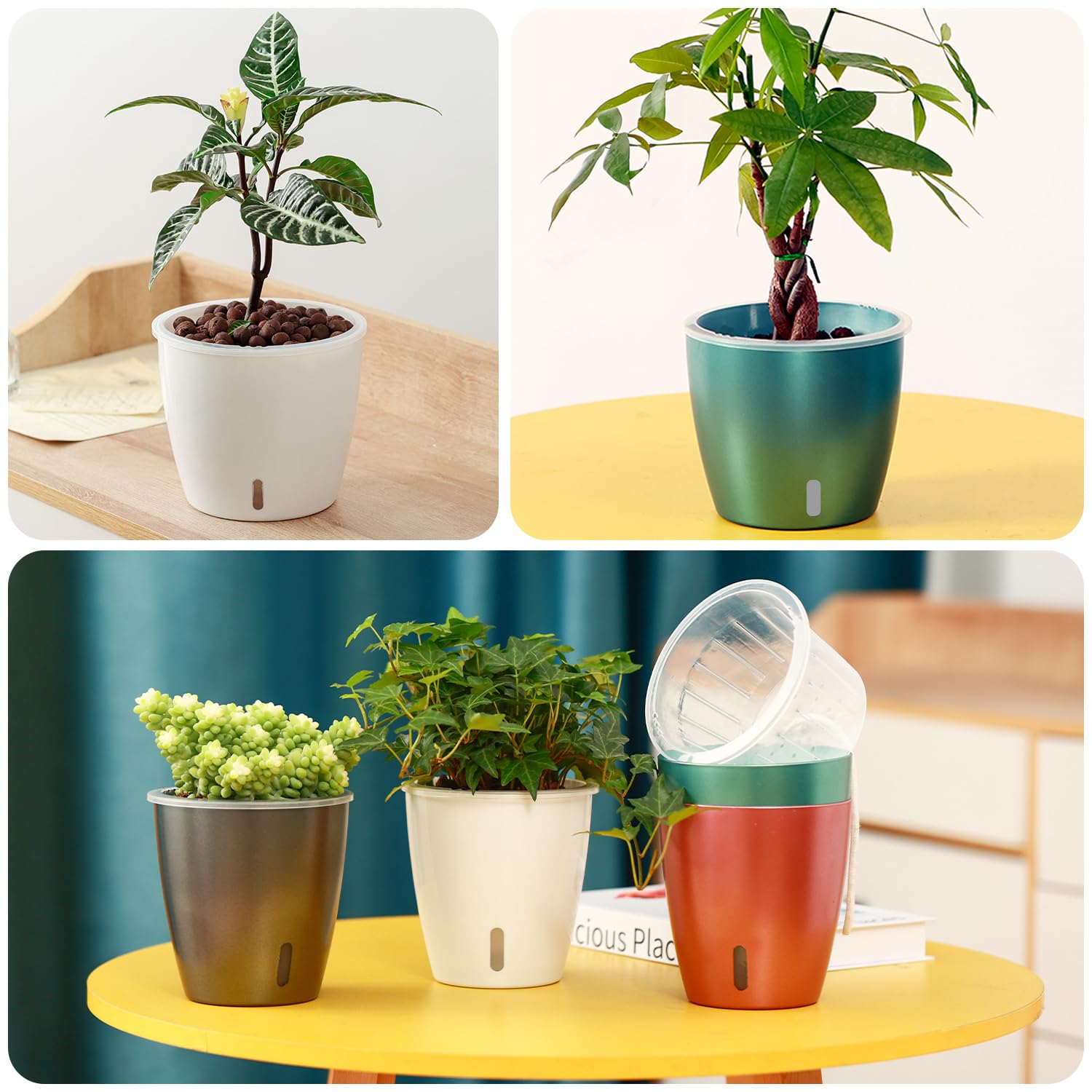 KvyusFlourish Self-Watering Pot packaging front view