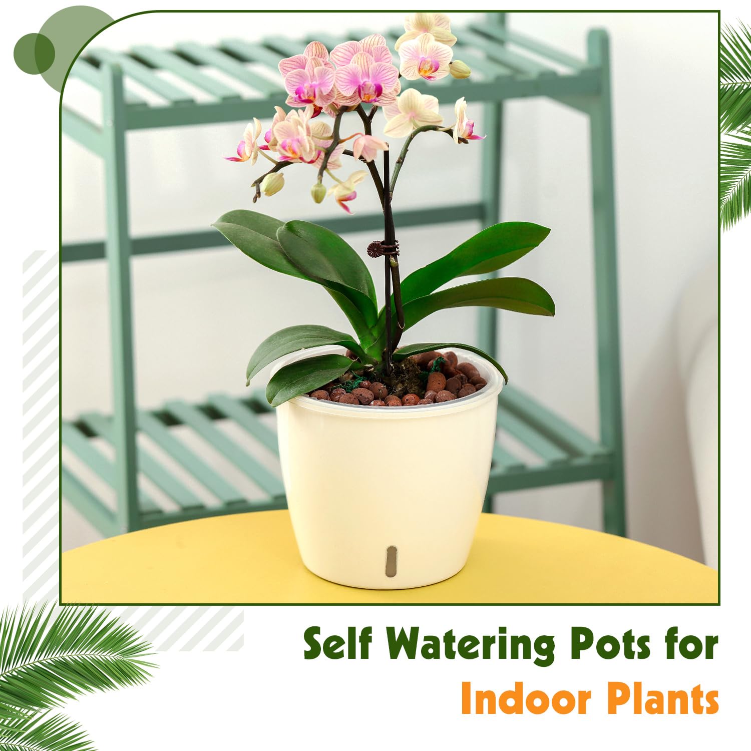 KvyusFlourish Self-Watering Pot with African Violet plant inside