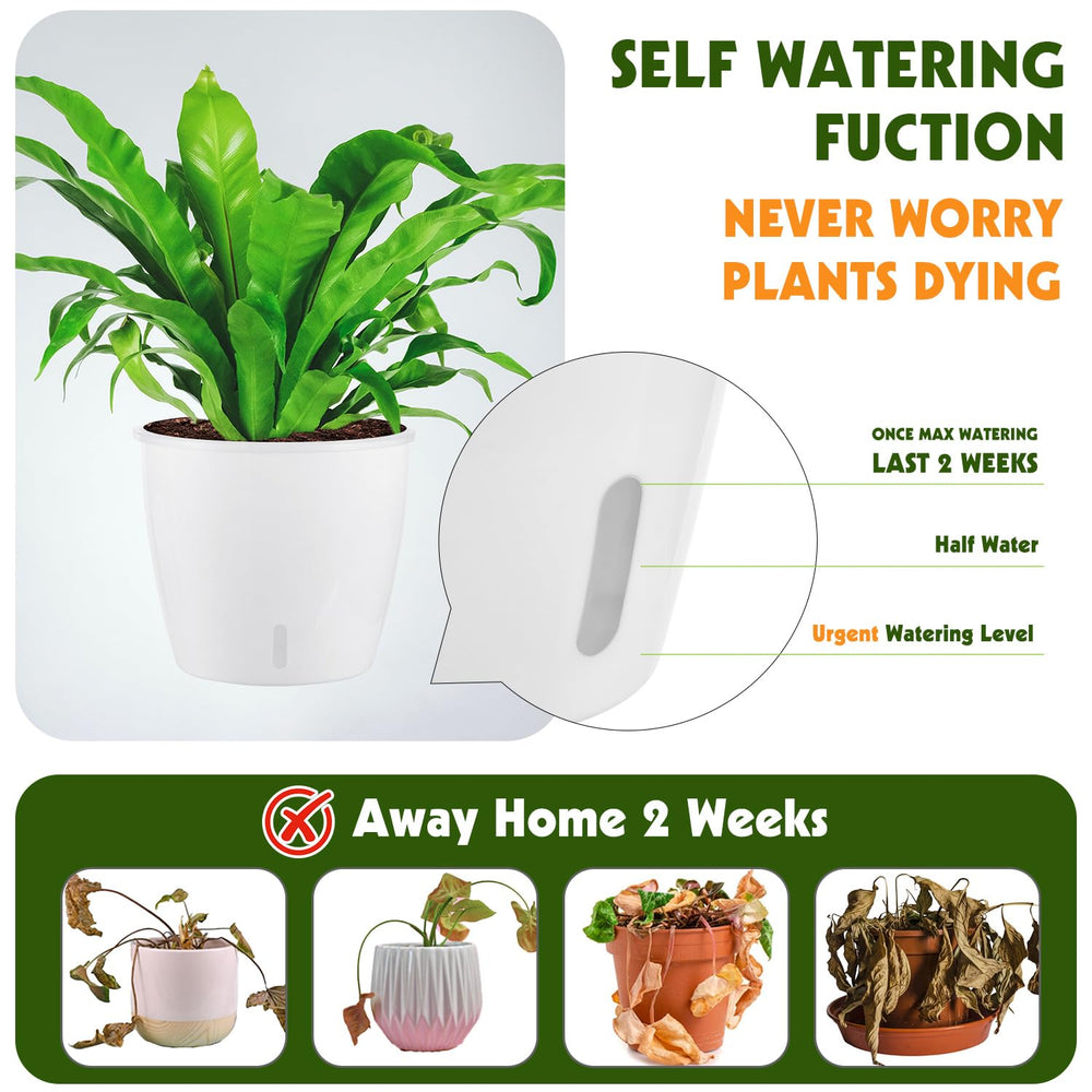KvyusFlourish self-watering pot with water indicator close-up
