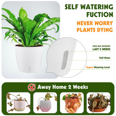 KvyusFlourish self-watering pot with water indicator close-up
