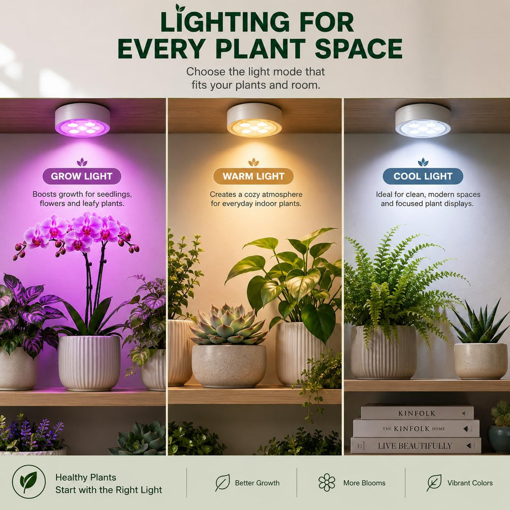 KYEELCP Grow Light demonstrating full spectrum illumination