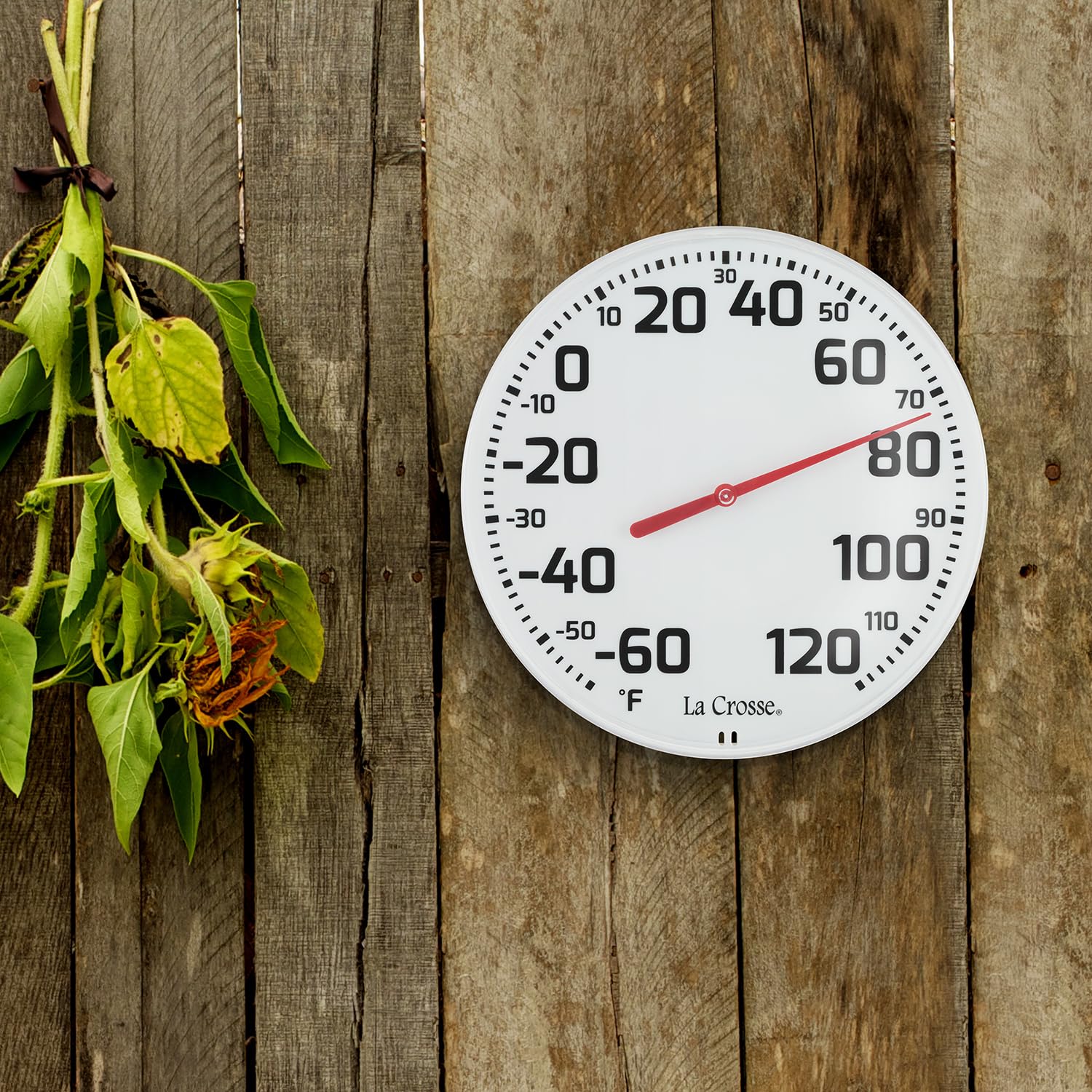 La Crosse thermometer displayed outdoors in a garden setting
