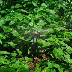 La Farah 360° Drip Sprinkler Heads with tubing included