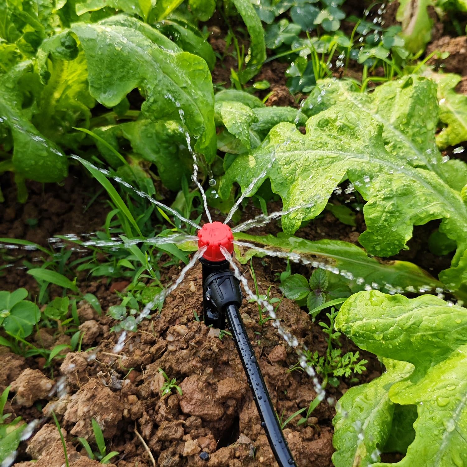 La Farah drip emitter in use in a garden setting