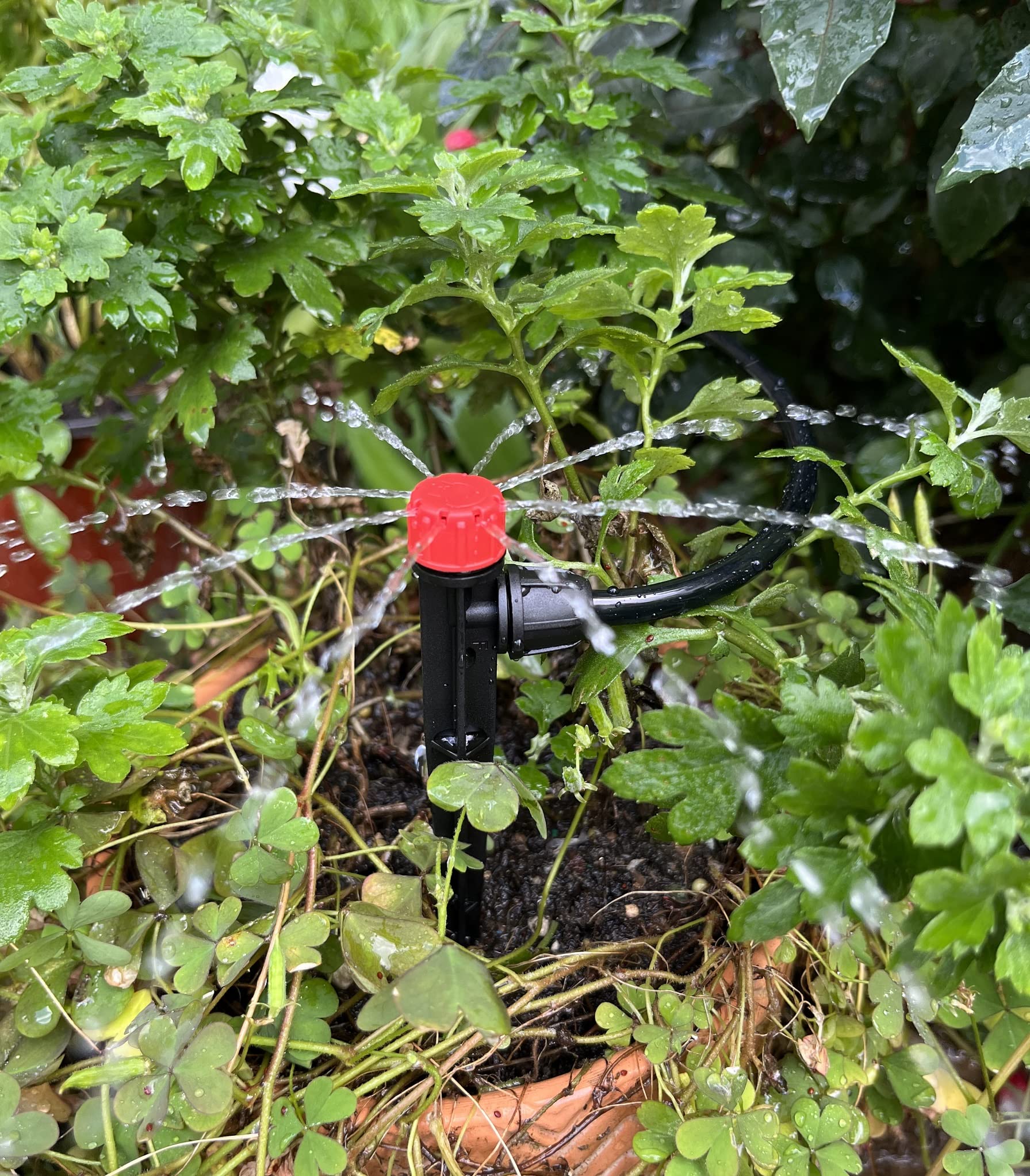 La Farah drip irrigation emitters showing compatibility with tubing