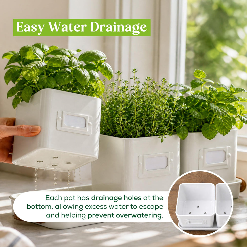 label cards included with volila herb planter set