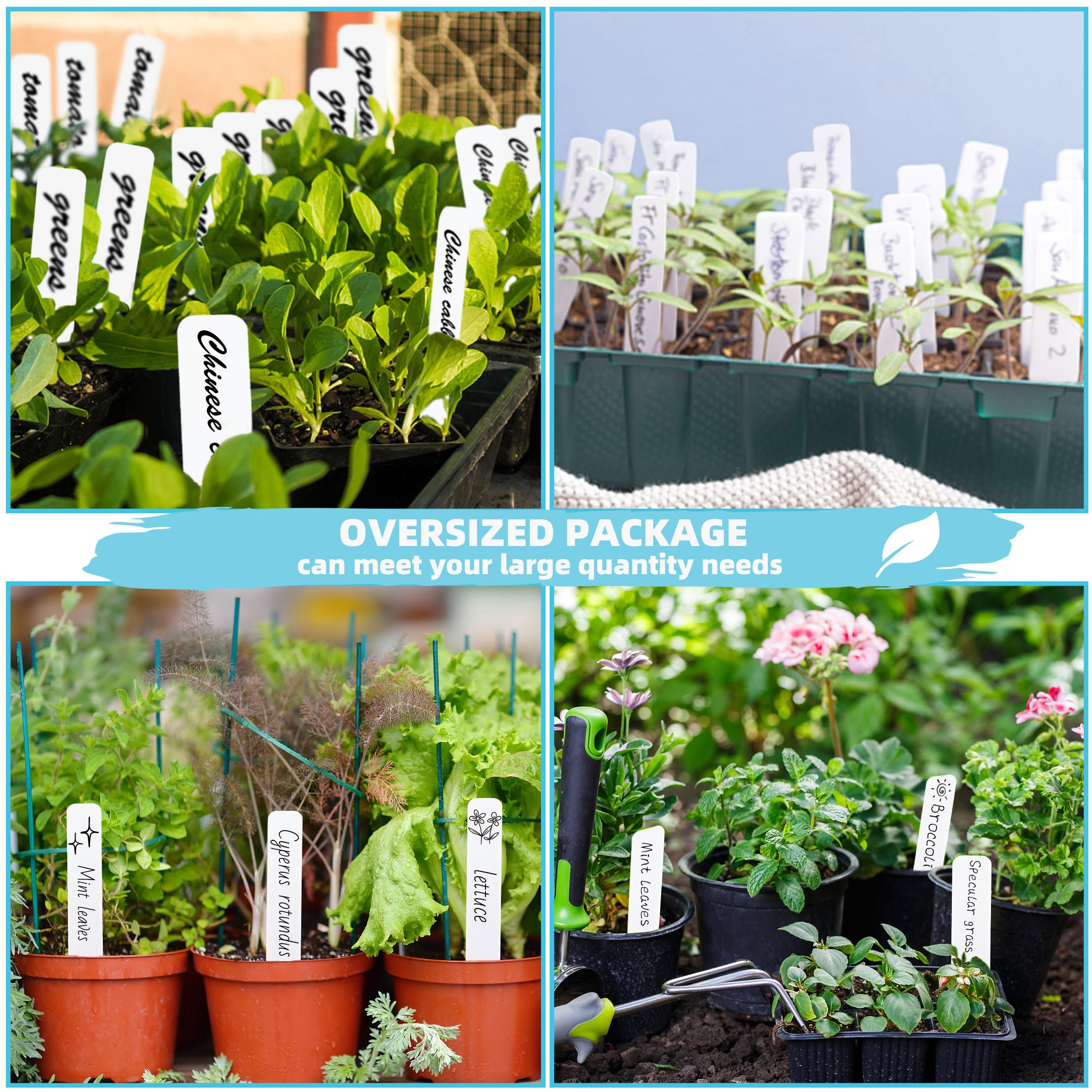 Labeling vegetables with TDHDIKE plant tags