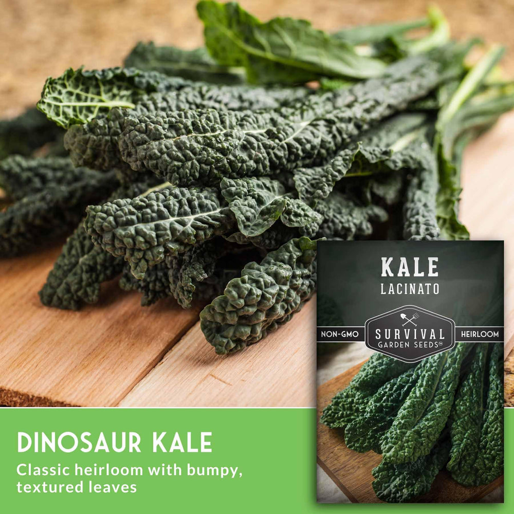 Lacinato kale seeds pack back view with planting instructions