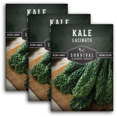 Lacinato Kale Seeds pack front view, green packaging