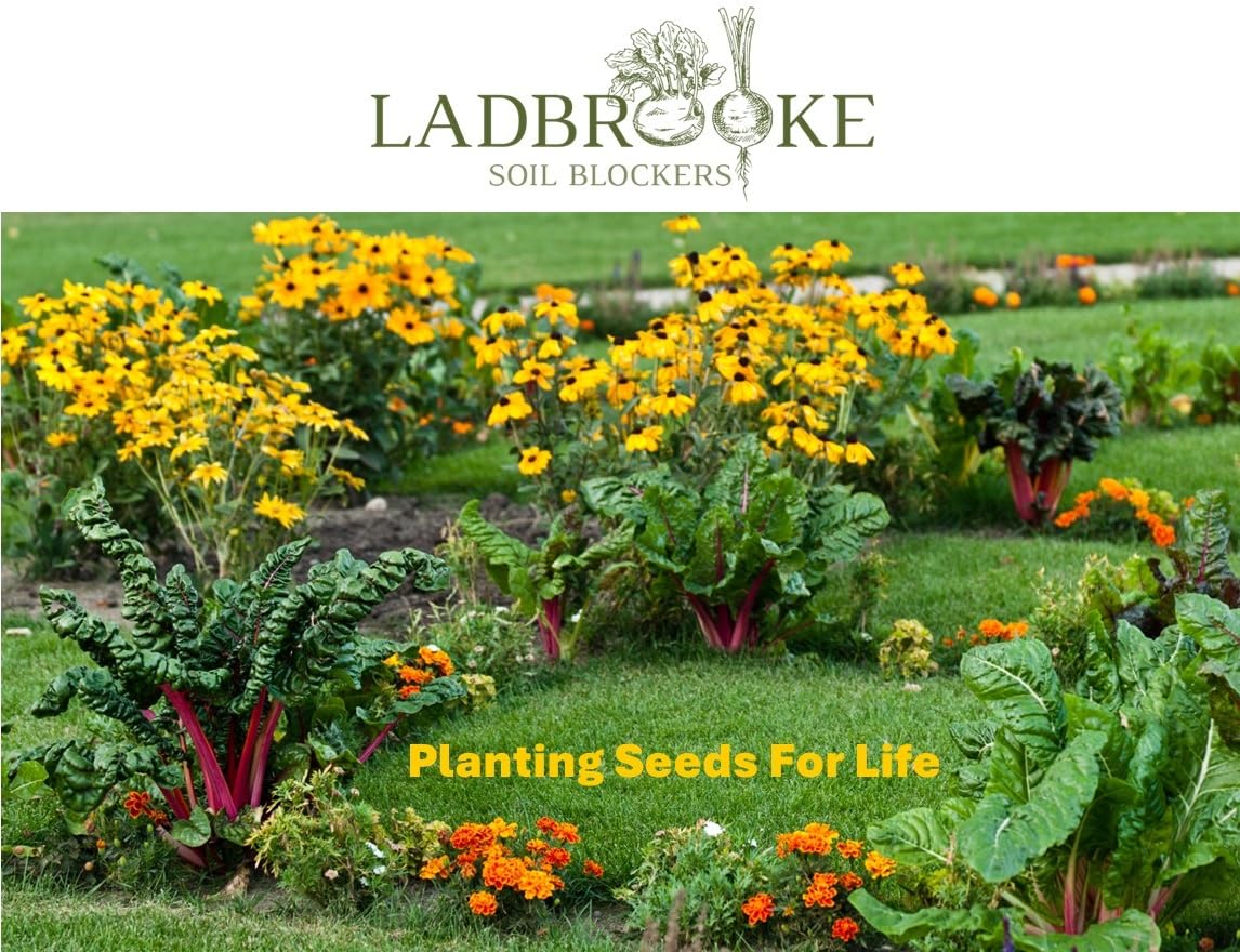 Ladbrooke Mini 5 Soil Blocker side view highlighting construction