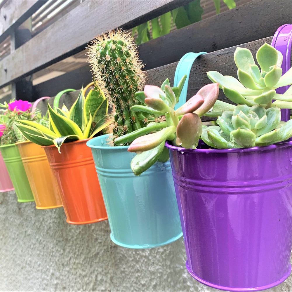 LáLáGreen 6-inch multi-colour hanging planter front view