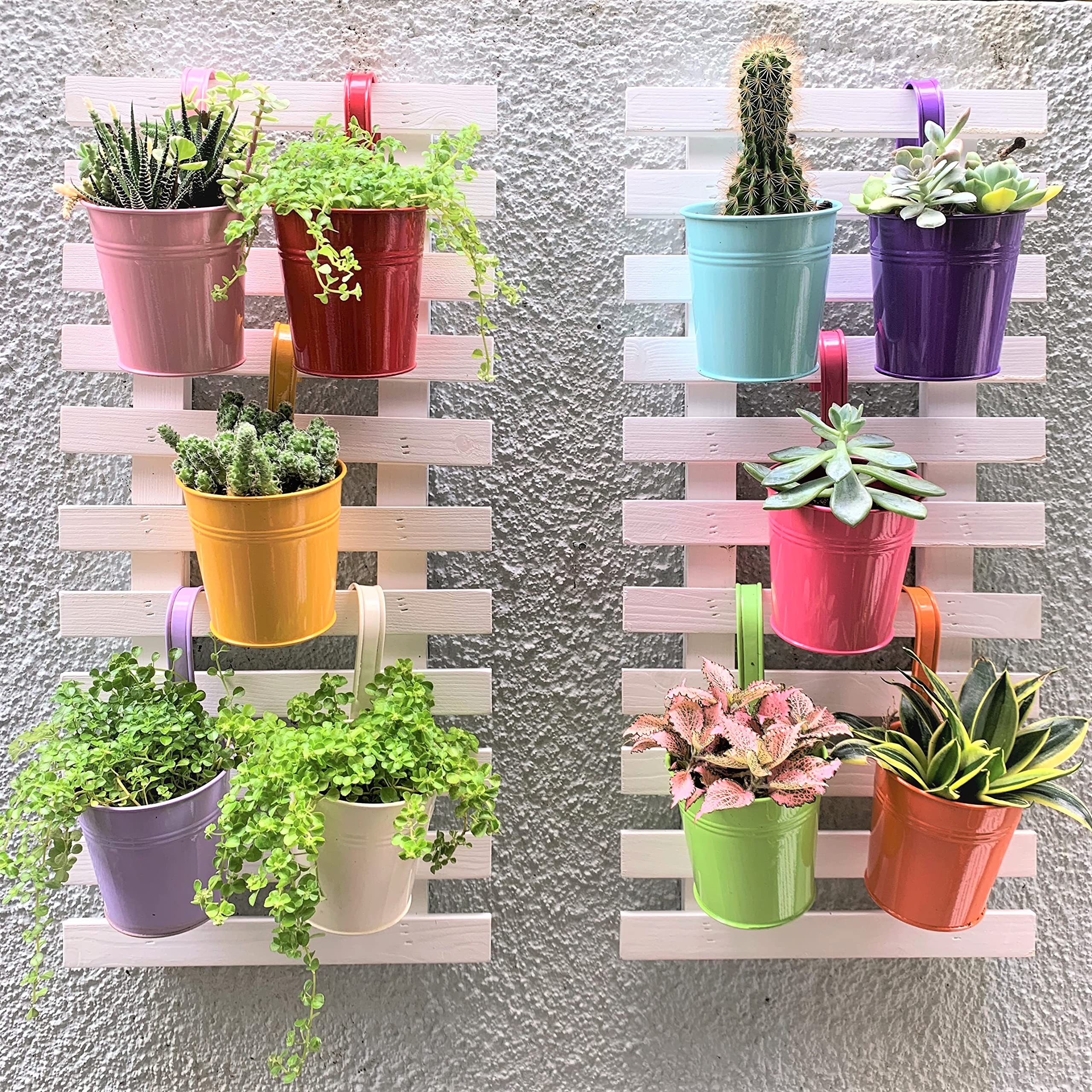 LáLáGreen 6-inch planters arranged on a balcony