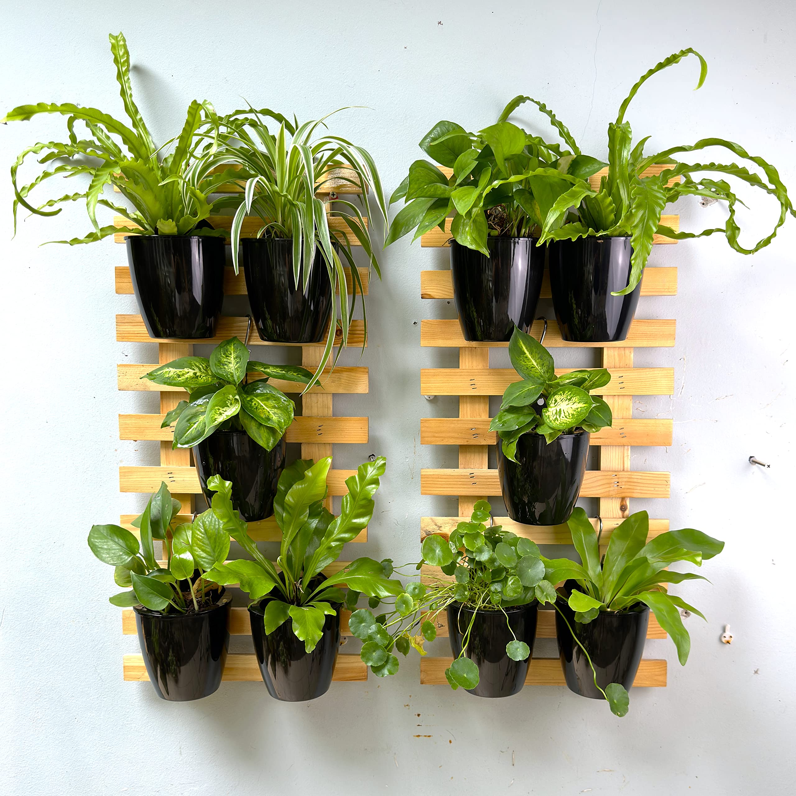 LáLáGreen indoor wall pots hanging with cotton rope