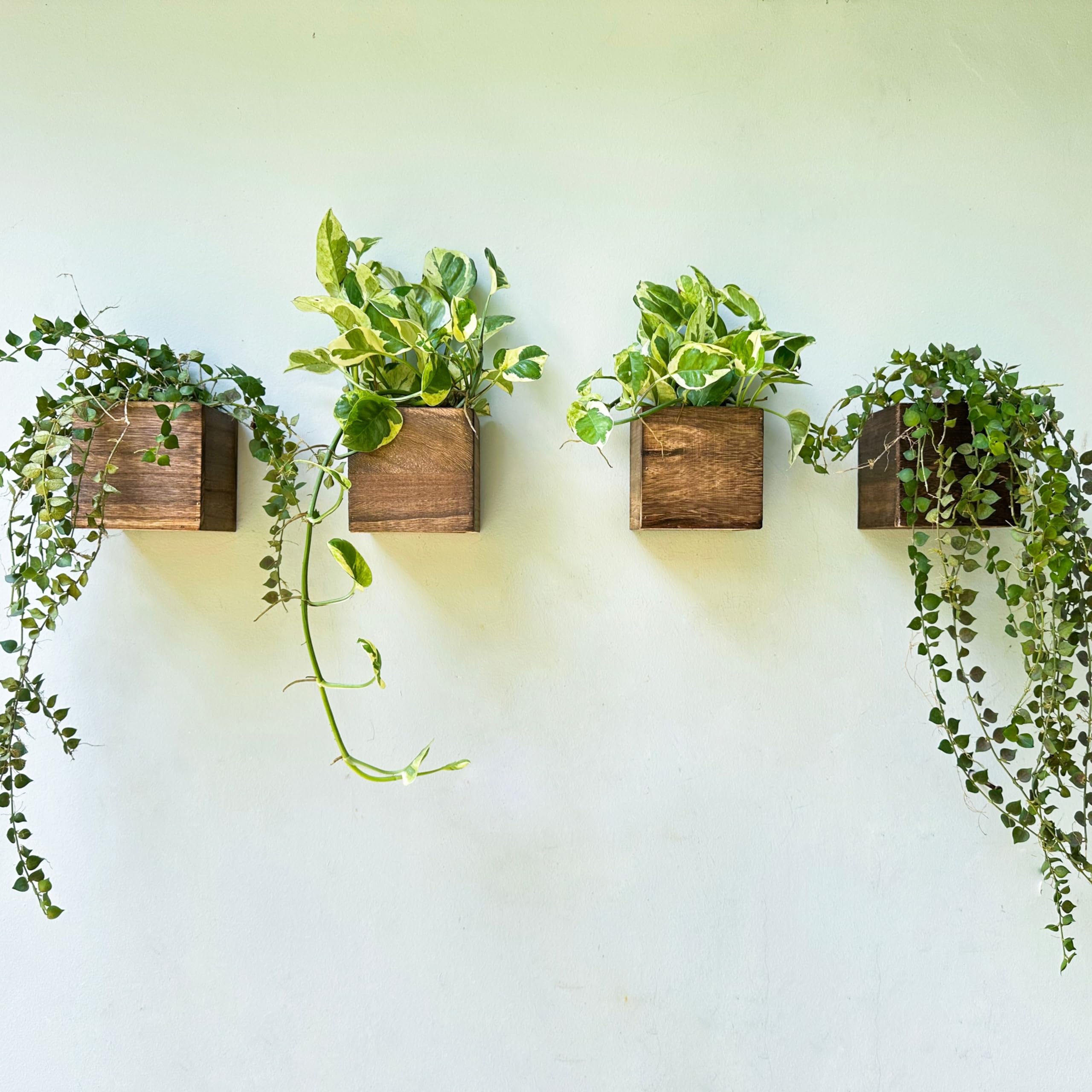LáLáGreen Wall Planter set of four wooden boxes front view