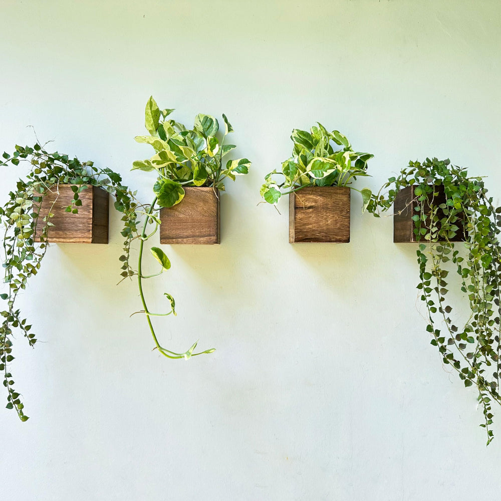 LáLáGreen Wall Planter set of four wooden boxes front view