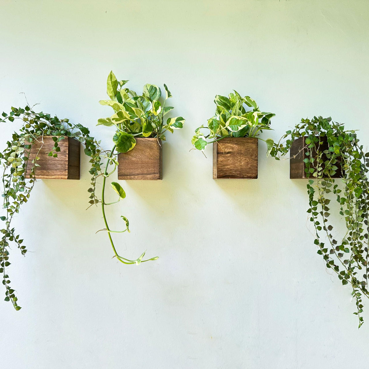 LáLáGreen Wall Planter set of four wooden boxes front view