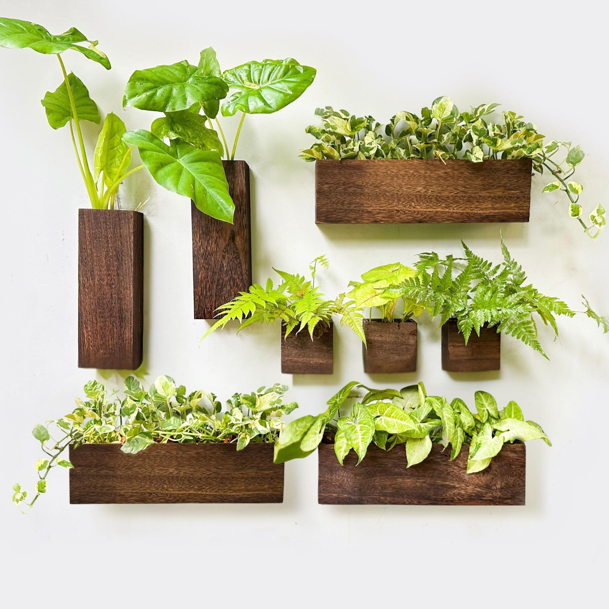 LáLáGreen Wood Planter Box 8-Pack front view with brown finish